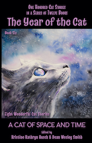 The Year of the Cat: A Cat of Space and Time