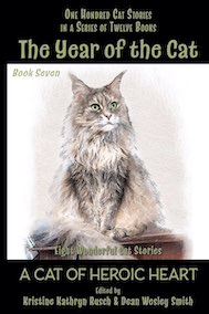 The Year of the Cat: A Cat of Heroic Heart